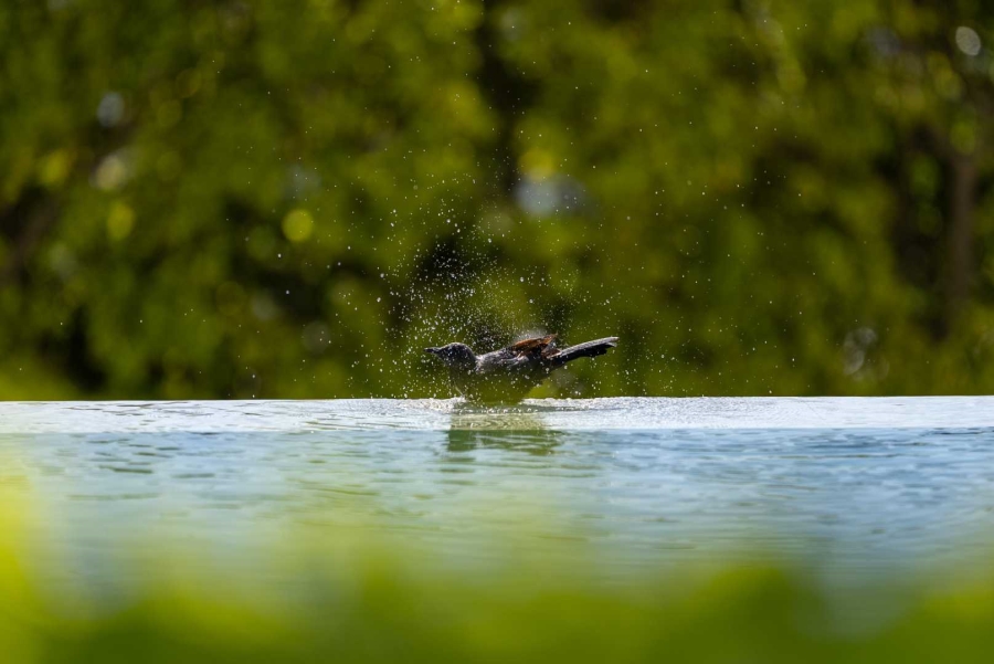 7 Bedroom Property for Sale in Fresnaye Western Cape